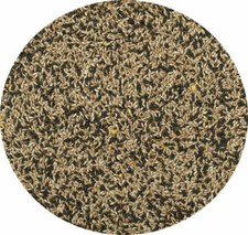 Canary seed mixed - canary, food