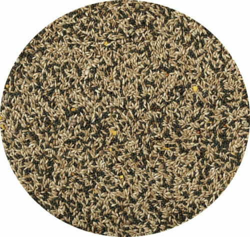 Canary seed mixed - canary,