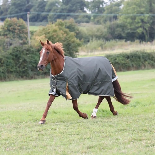 Shires highlander plus 50g - highlander,