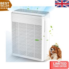 H13 HEPA Air Purifier for
