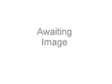 A Decade of Steely Dan: Best of Steely Dan CD Expertly Refurbished Product