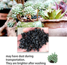 Black Horticultural Lava Rock for Plants, Natural Volcanic Stone Succulent Cact