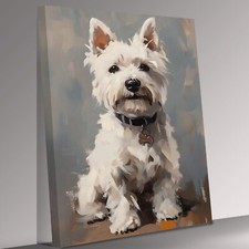 Highland Terrier Portrait on