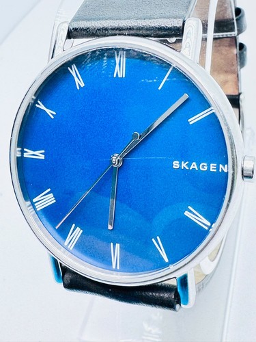 Skagen signatur skw6434 - signatur, blue