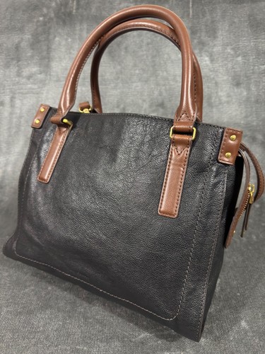 Fossil black brown - fossil,