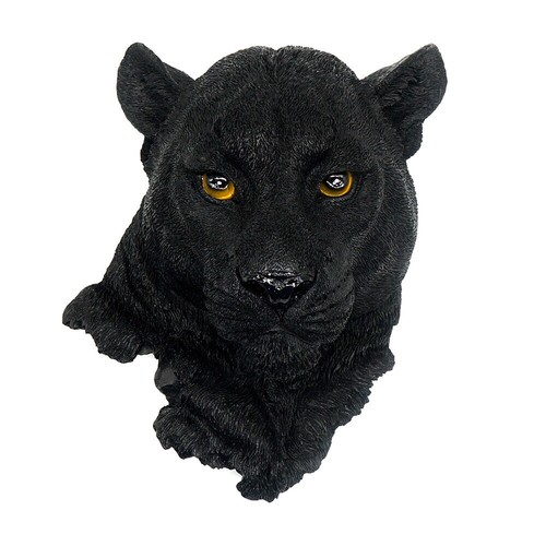 Wild animal head - animal, wall