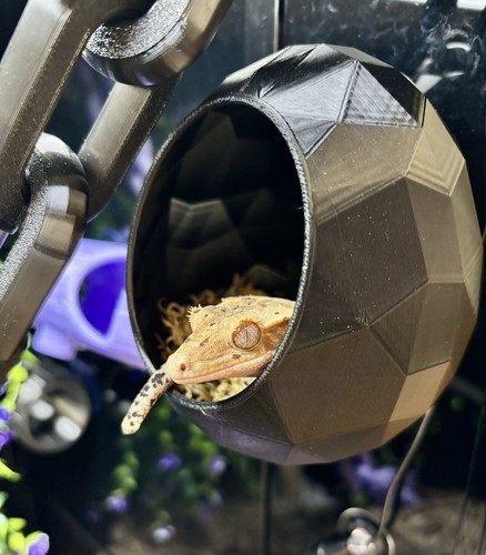Reptile hide for terrarium - reptile,