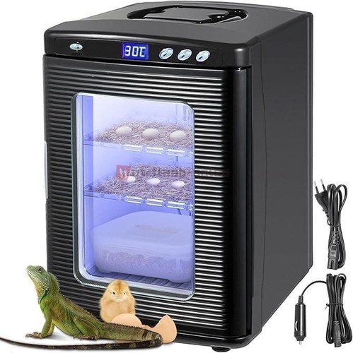 Reptile incubator digital egg - reptile,