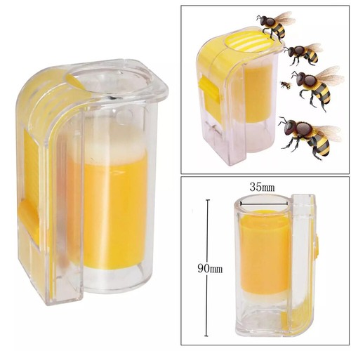 Beekeeping bee queen marking - beekeeping,