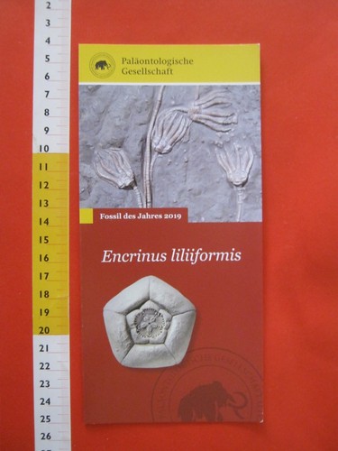X4a fossil mineral - x4a,