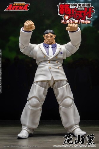 Storm collectibles arena baki - collectibles,