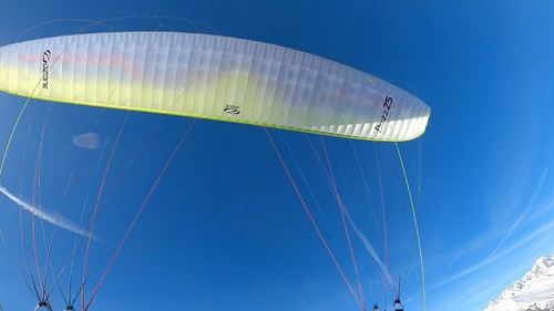 Ozone buzz paraglider - z5, l