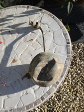 Antique  COPPER  BALLCOCK & ARM  - Arm Length 9" ( 23 cm )  Good Condition