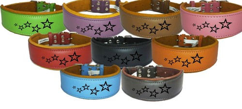 Leather staffy padded - leather,