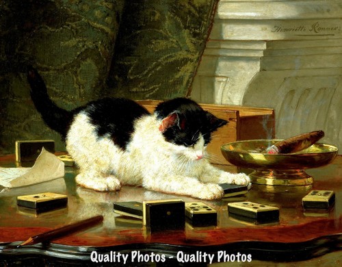 Kitten playing dominoes - playing,