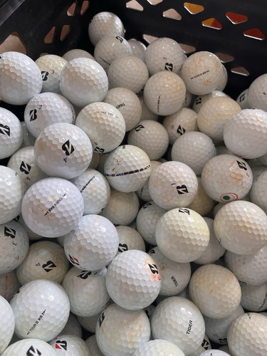 Bridgestone tiger tour - 40,