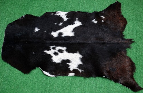 Genuine goat hide - goat, hair