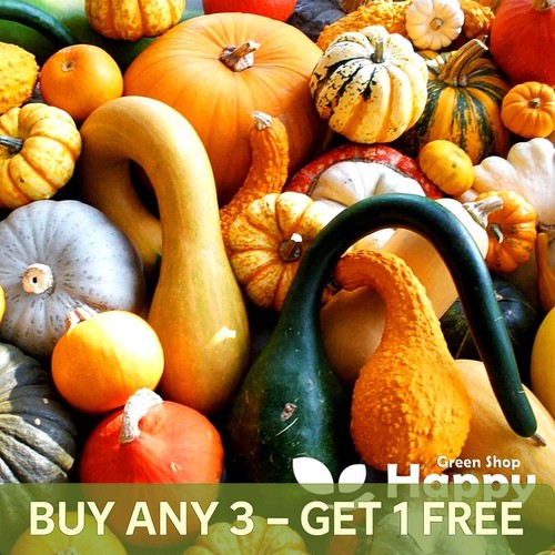 Mix gourds seeds - -, 25