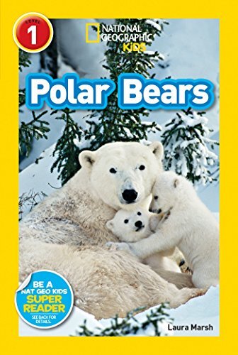 Polar bears national - bears, (national