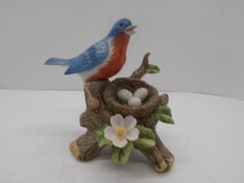 Bluebird with Nest of Eggs