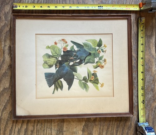 John james audubon - james,