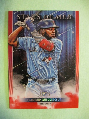 Vladimir guerrero 2022 - vladimir,