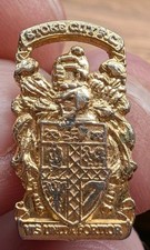 Small Stoke City FC pin badge
