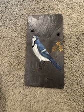 Beautiful Bluebird Painting On
