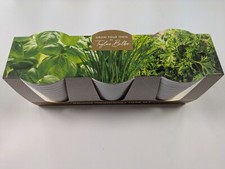 Taylors Windowsill Herb Pots - Compost - Basil - Parsley - Chive Seed