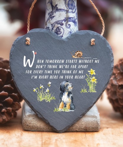Tibetan terrier when - tibetan,