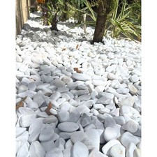 10 LB White Premium Pebbles