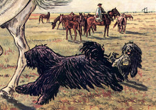 HUNGARIAN PULI DOG GREETING