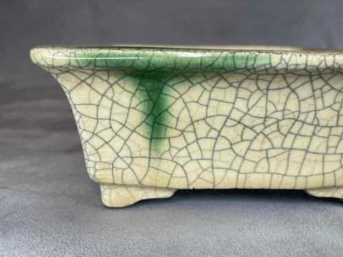 Satomi japanese bonsai - bonsai, pot