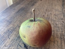 VTG Penkridge Ceramics