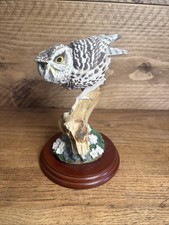 Border Fine Arts Little Owl
