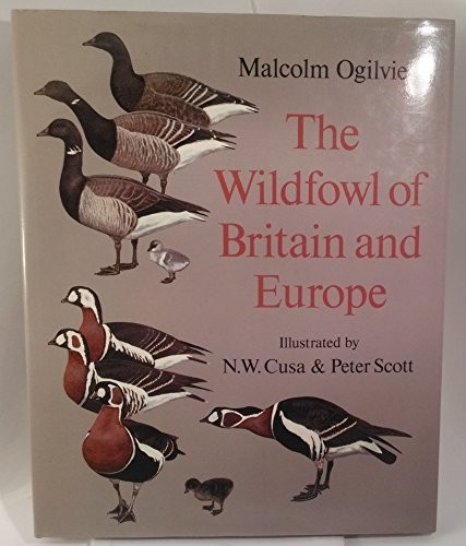 Wildfowl britain and europe - wildfowl,