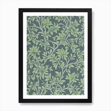 Ebony tree vintage botanical - ebony,