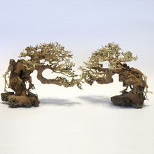 Bonsai Stork Wood Sm Pc 20 x