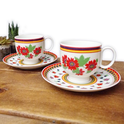 Heinrich bavaria cup - cup, saucer