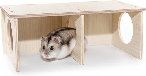 Hamster peep tunnel chamber - hamster,