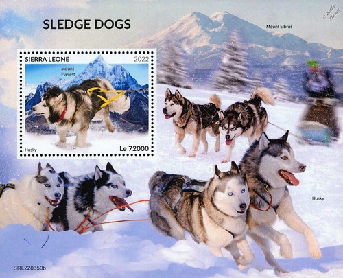 Sled dogs husky arctic - husky, sledge