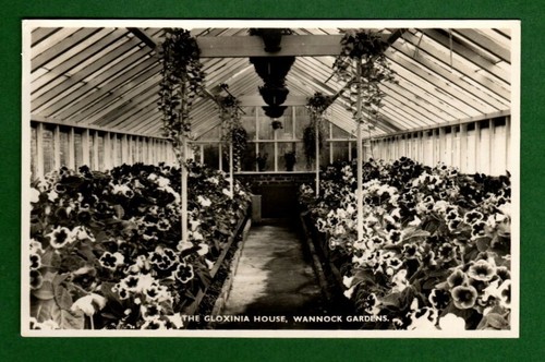 102773 postcard eastbourne - 102773,