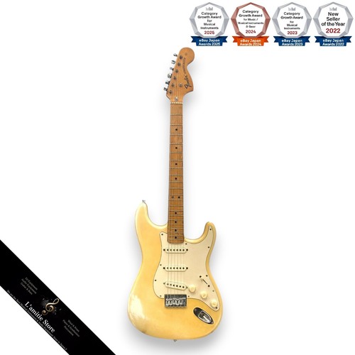 Fender 1976 stratocaster - fender,