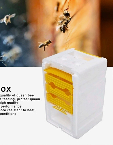 Foam queen rearing box - foam,