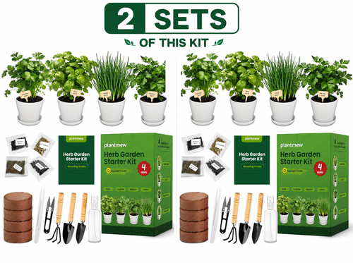 Indoor herb garden starter kit - herb,