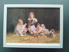 David Shepherd print 'Playtime' Bearded Collie Puppies  FRAMED