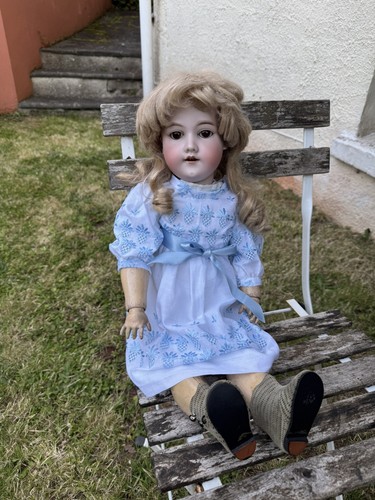 Large 65cm tall - 65cm,
