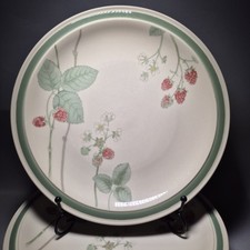 6x Wedgwood Raspberry Cane
