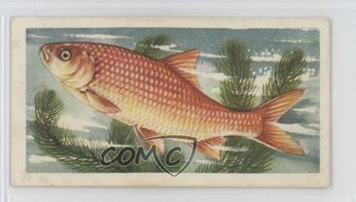 1960 brooke bond freshwater - 1960,