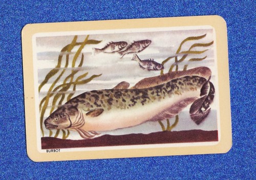 Vintage woolworths fish swap - vintage,